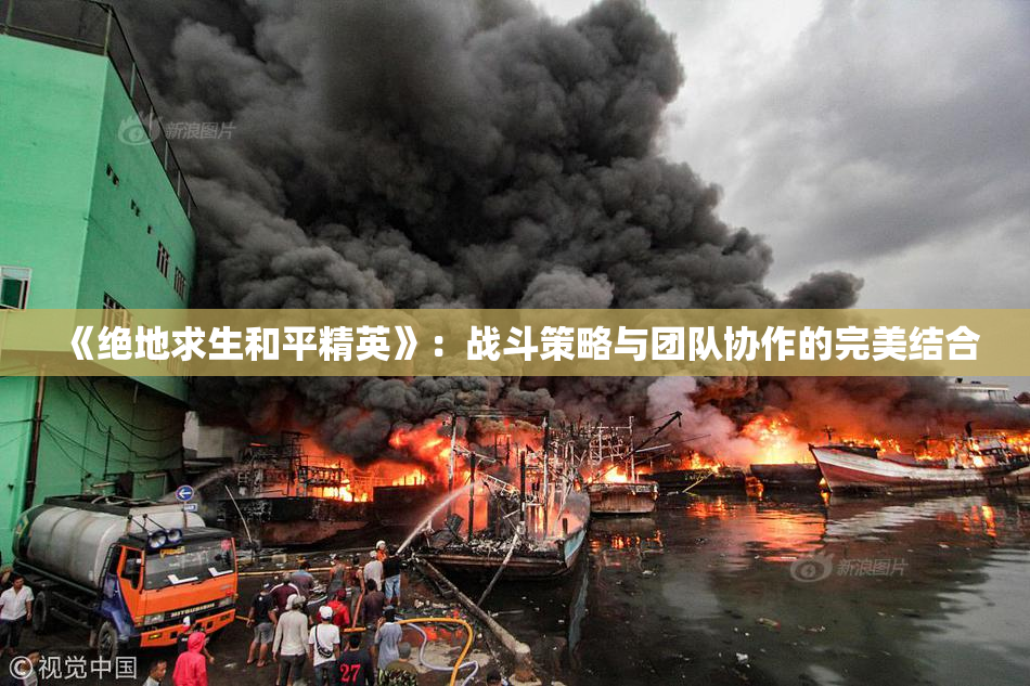 《绝地求生和平精英》：战斗策略与团队协作的完美结合