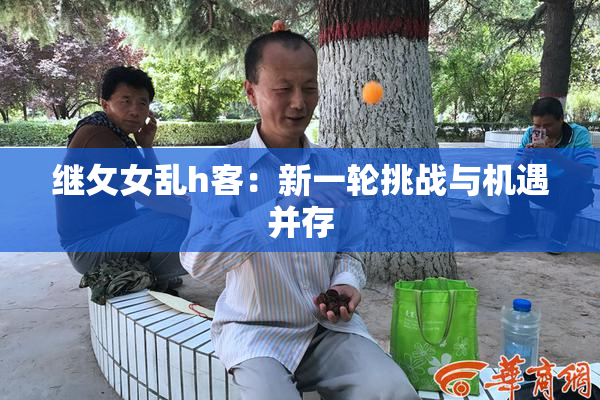继攵女乱h客：新一轮挑战与机遇并存