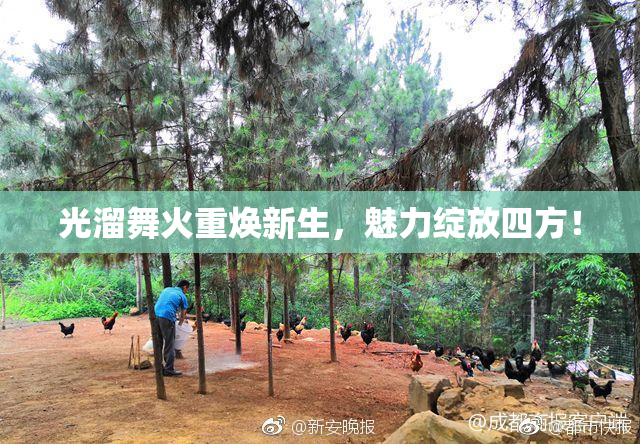 光溜舞火重焕新生，魅力绽放四方！