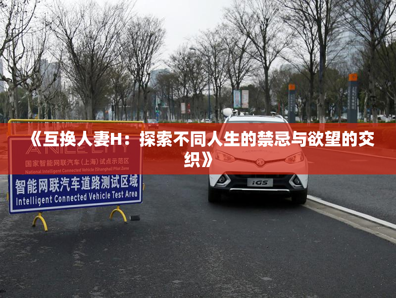 《互换人妻H：探索不同人生的禁忌与欲望的交织》