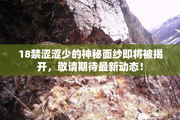 18禁涩涩少的神秘面纱即将被揭开，敬请期待最新动态！