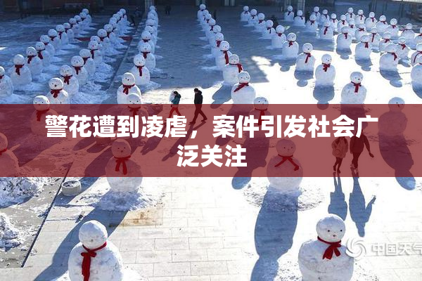 警花遭到凌虐，案件引发社会广泛关注