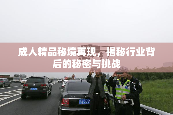 成人精品秘境再现，揭秘行业背后的秘密与挑战