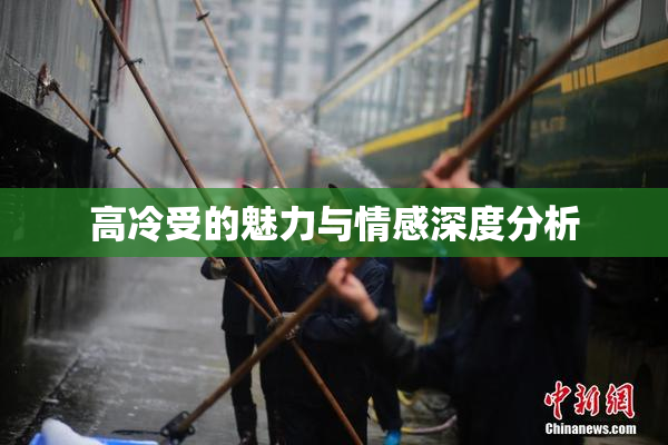 高冷受的魅力与情感深度分析