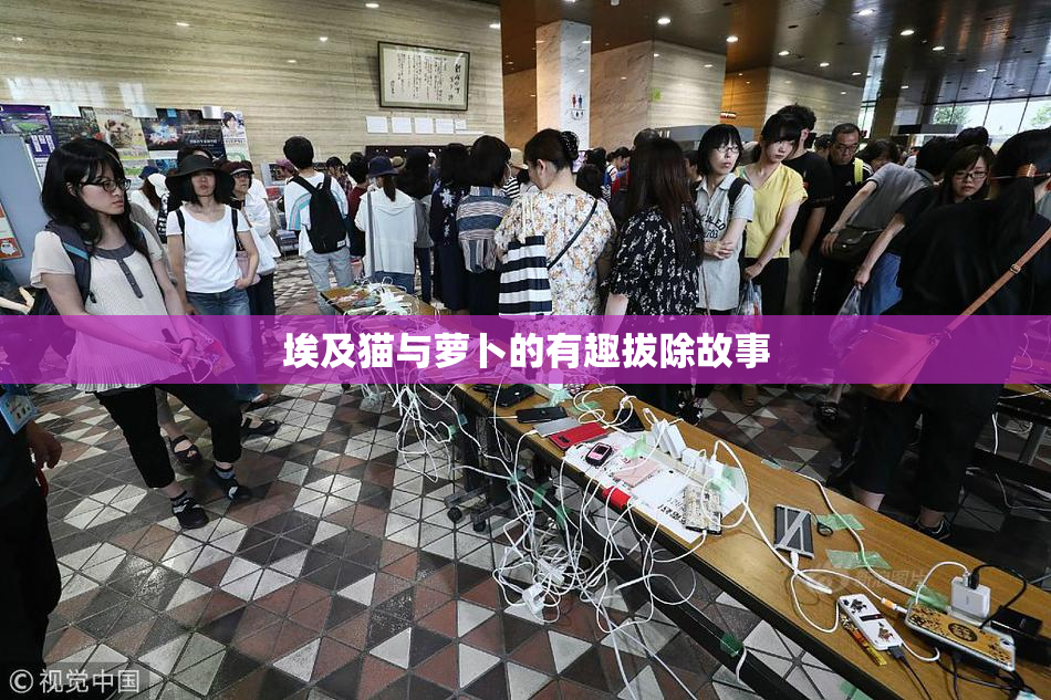 埃及猫与萝卜的有趣拔除故事