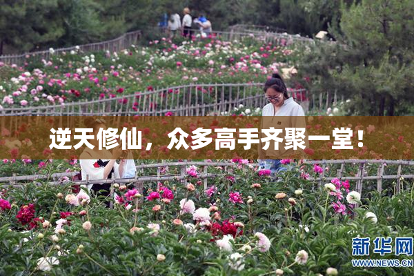 逆天修仙，众多高手齐聚一堂！