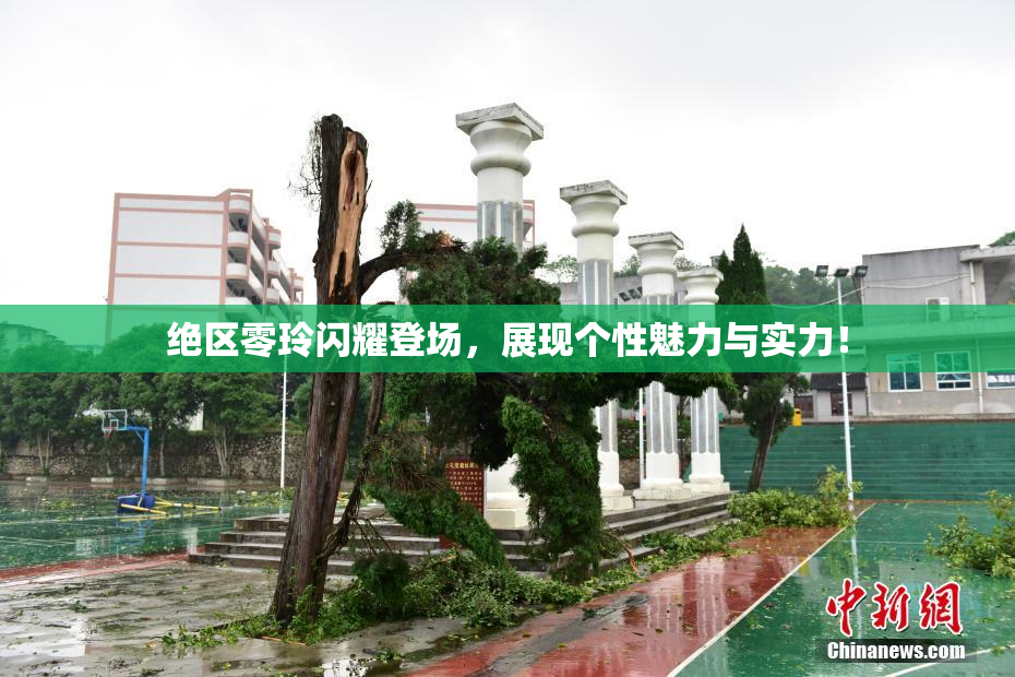 绝区零玲闪耀登场，展现个性魅力与实力！