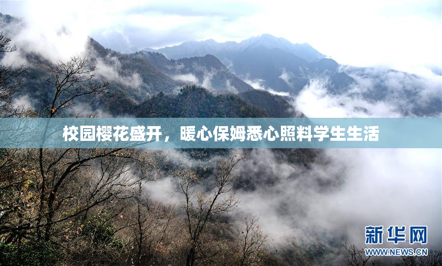校园樱花盛开，暖心保姆悉心照料学生生活