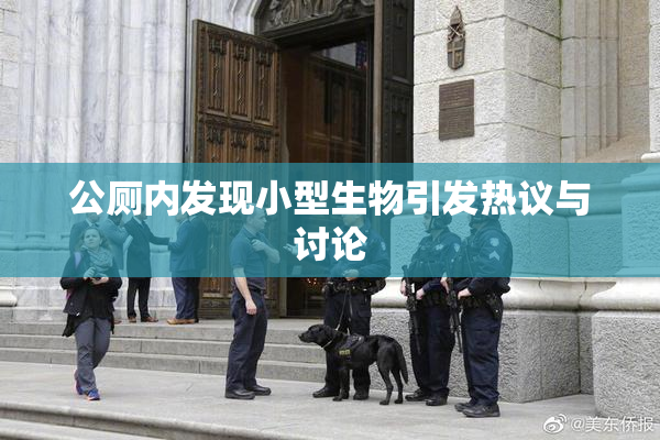 公厕内发现小型生物引发热议与讨论