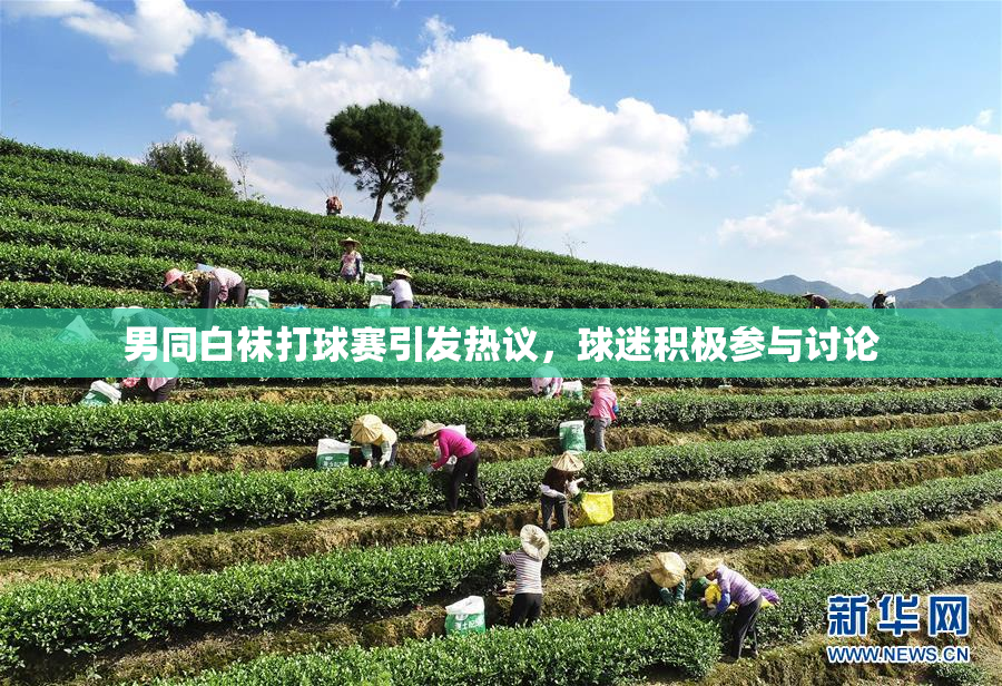 男同白袜打球赛引发热议，球迷积极参与讨论