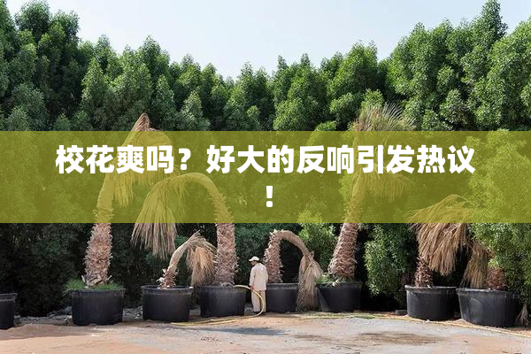 校花爽吗？好大的反响引发热议！