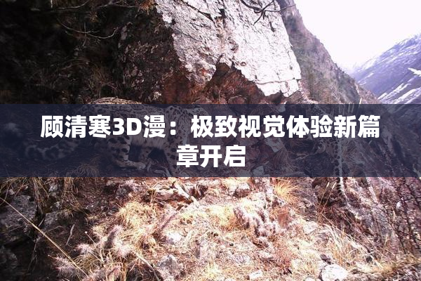顾清寒3D漫：极致视觉体验新篇章开启
