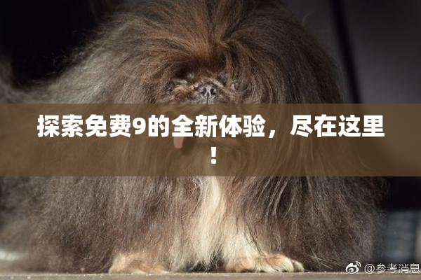 探索免费9的全新体验，尽在这里！