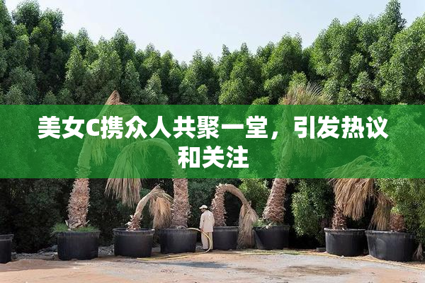 美女C携众人共聚一堂，引发热议和关注