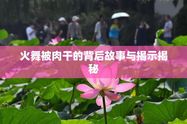 火舞被肉干的背后故事与揭示揭秘