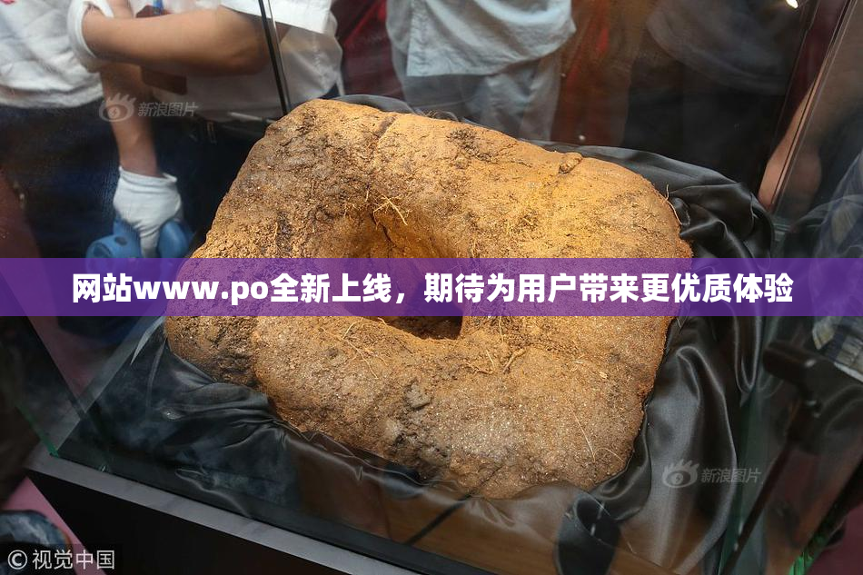 网站www.ро全新上线，期待为用户带来更优质体验