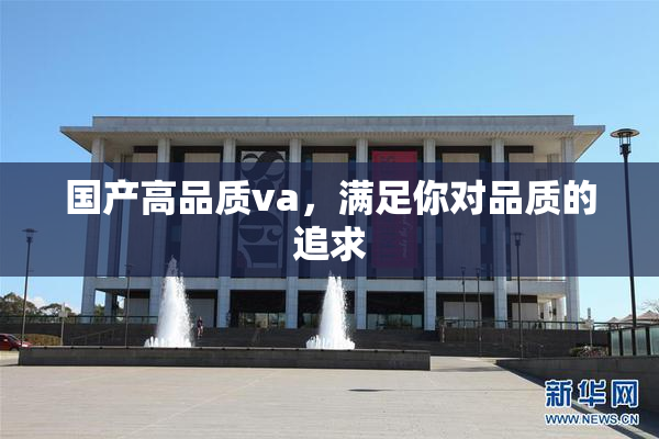 国产高品质va，满足你对品质的追求