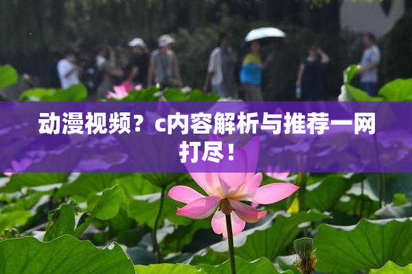 动漫视频？c内容解析与推荐一网打尽！