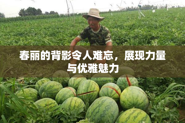 春丽的背影令人难忘，展现力量与优雅魅力