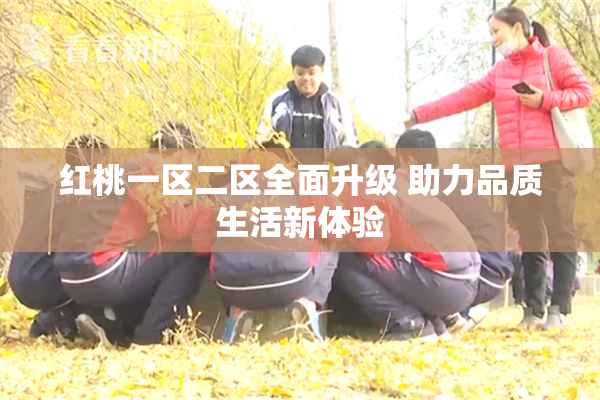 红桃一区二区全面升级 助力品质生活新体验