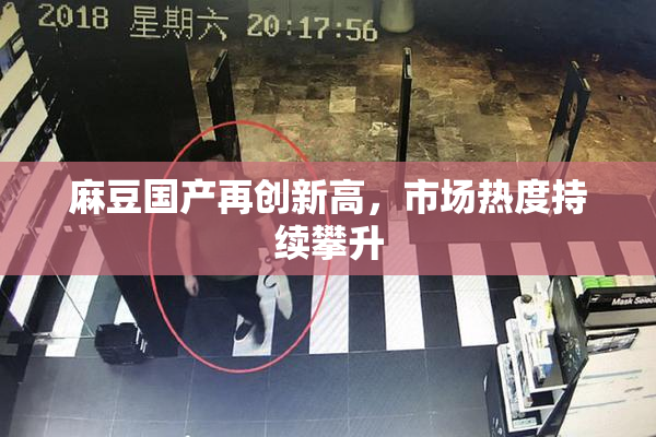 麻豆国产再创新高，市场热度持续攀升