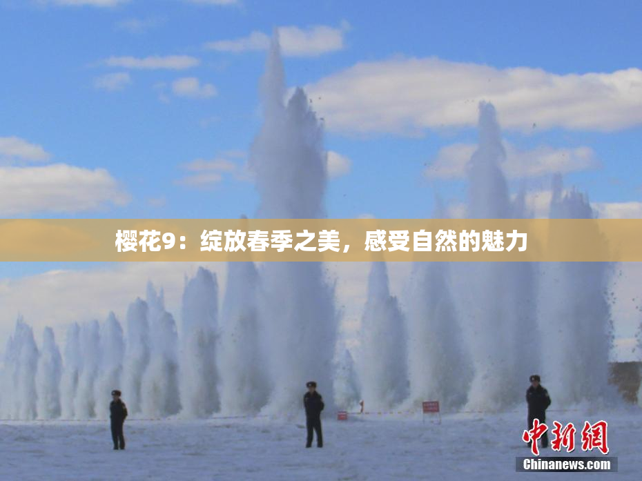 樱花9：绽放春季之美，感受自然的魅力