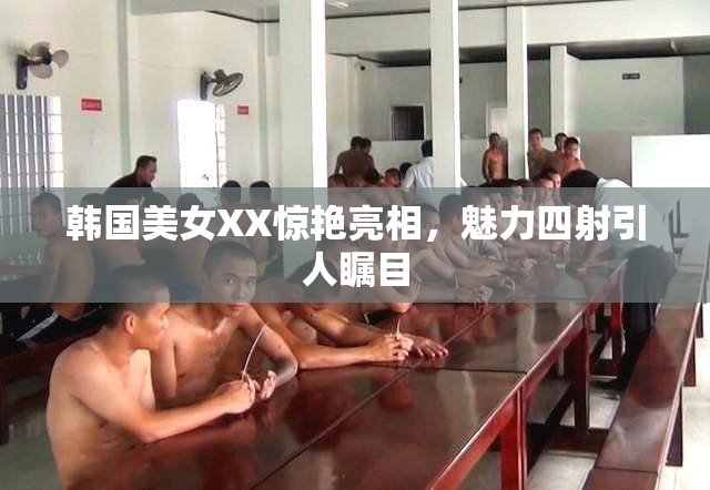 韩国美女XX惊艳亮相，魅力四射引人瞩目