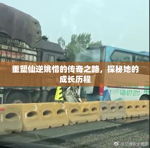 重塑仙逆姚惜的传奇之路，探秘她的成长历程