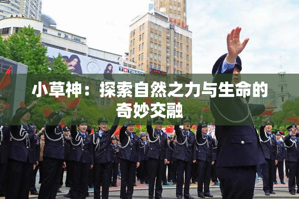 小草神：探索自然之力与生命的奇妙交融