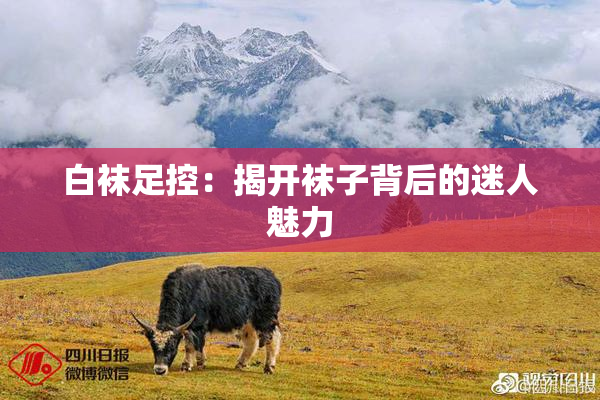 白袜足控：揭开袜子背后的迷人魅力