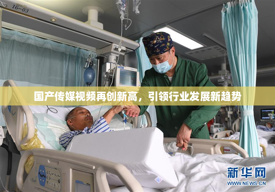 国产传媒视频再创新高，引领行业发展新趋势
