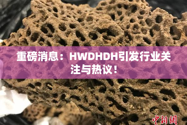 重磅消息：HWDHDH引发行业关注与热议！