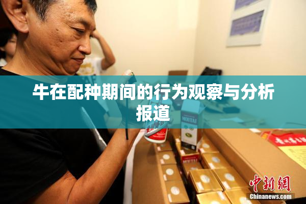 牛在配种期间的行为观察与分析报道