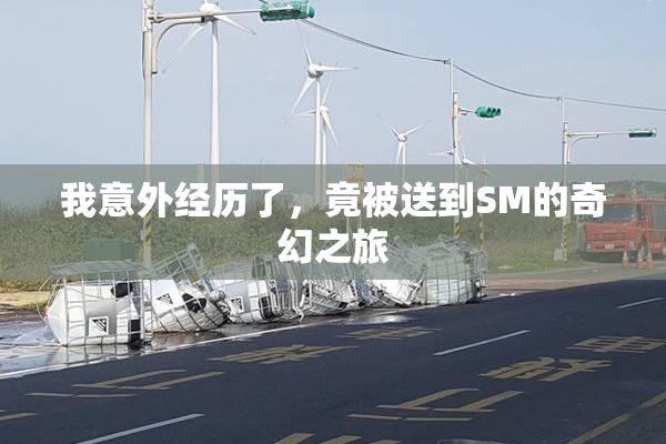 我意外经历了，竟被送到SM的奇幻之旅