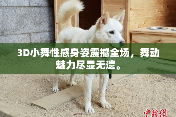 3D小舞性感身姿震撼全场，舞动魅力尽显无遗。