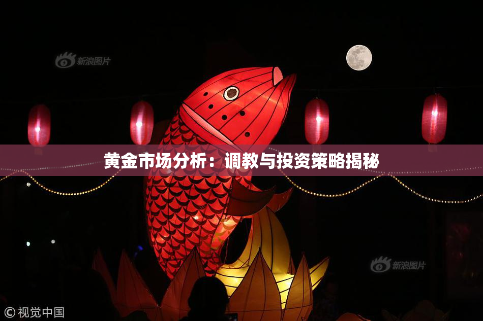 黄金市场分析：调教与投资策略揭秘