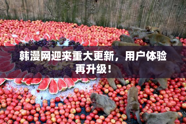 韩漫网迎来重大更新，用户体验再升级！