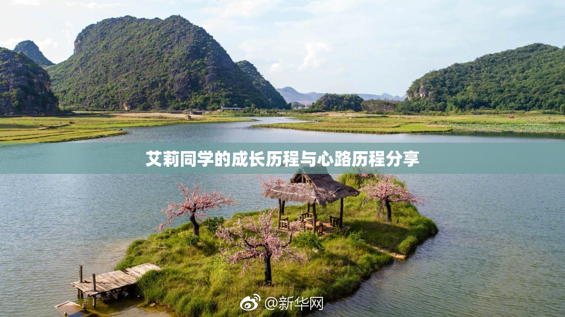 艾莉同学的成长历程与心路历程分享