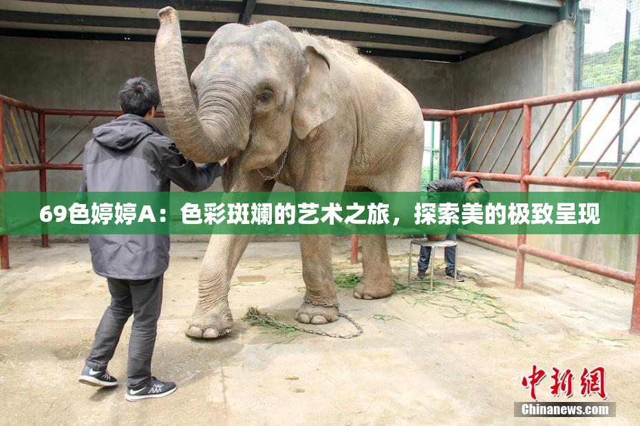 69色婷婷A：色彩斑斓的艺术之旅，探索美的极致呈现