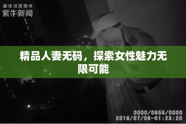 精品人妻无码，探索女性魅力无限可能
