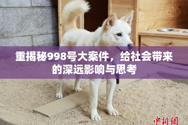 重揭秘998号大案件，给社会带来的深远影响与思考