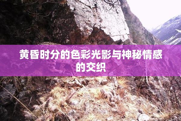 黄昏时分的色彩光影与神秘情感的交织