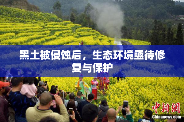 黑土被侵蚀后，生态环境亟待修复与保护