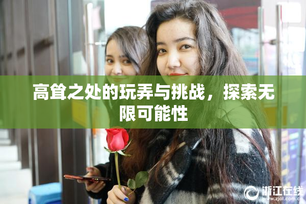高耸之处的玩弄与挑战，探索无限可能性