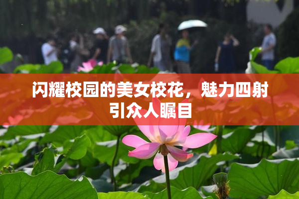 闪耀校园的美女校花，魅力四射引众人瞩目