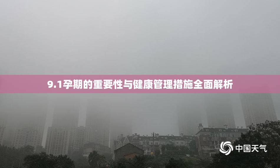 9.1孕期的重要性与健康管理措施全面解析