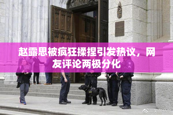 赵露思被疯狂揉捏引发热议，网友评论两极分化