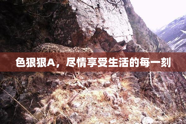 色狠狠A，尽情享受生活的每一刻