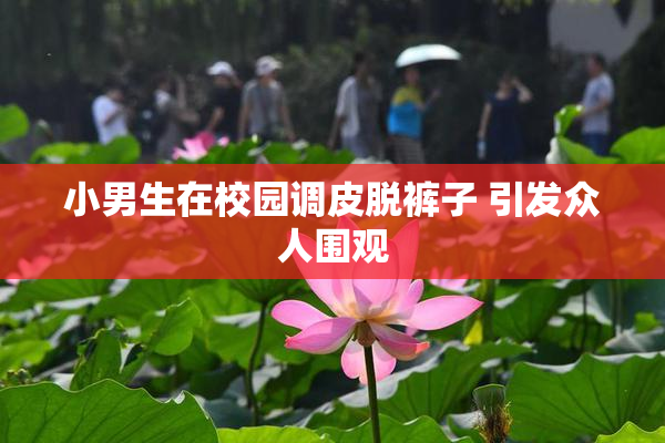 小男生在校园调皮脱裤子 引发众人围观