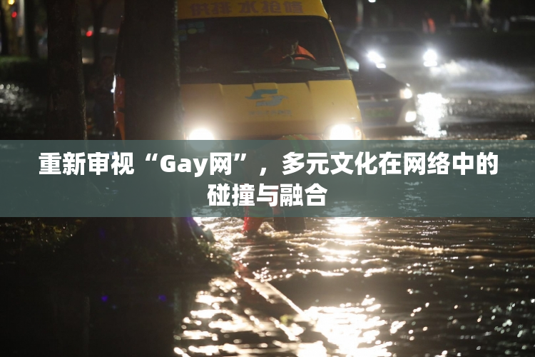 重新审视“Gay网”，多元文化在网络中的碰撞与融合